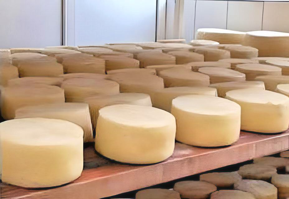 domaci-kackavalj